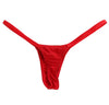 Scampia legacy red